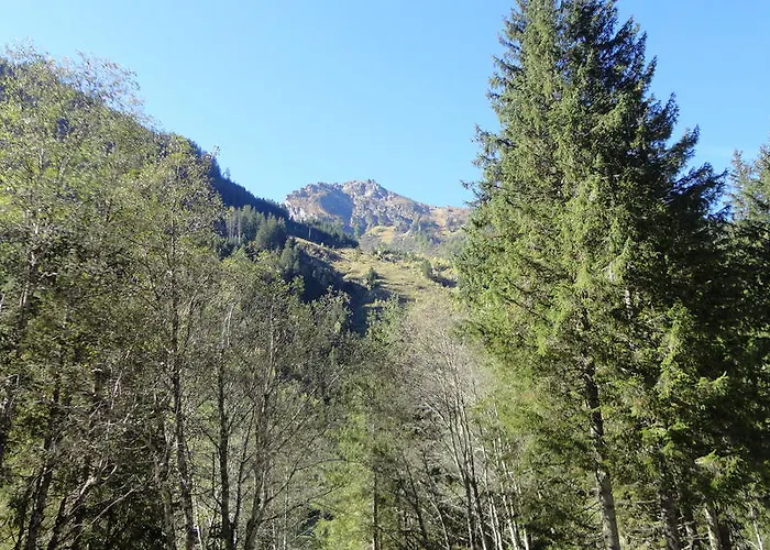 Appartement Haus Schraberger Schladming